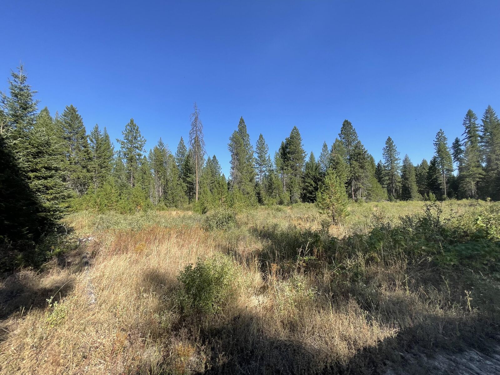 Property Photo: 1xx1 Lynx Creek Rd WA 99138