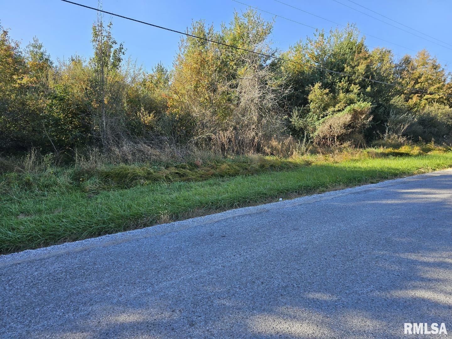 Property Photo:  0000 E Hutchison Road  IL 62864 