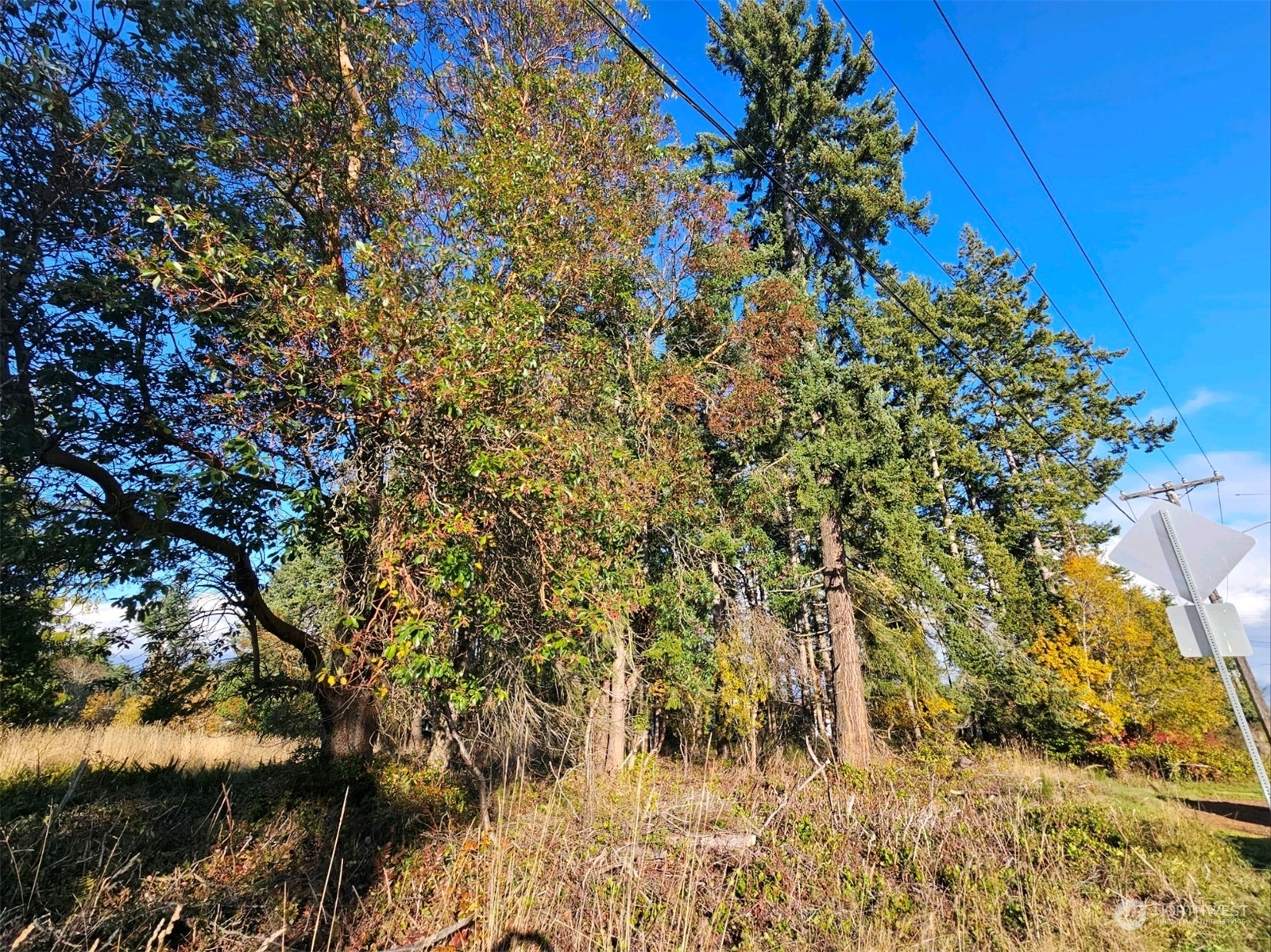 Property Photo:  0  Lot 3 West 8th Street  WA 98363 