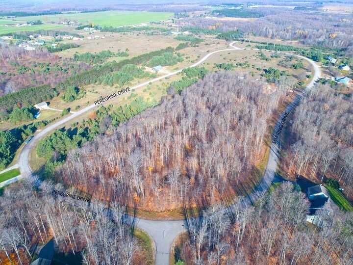 Property Photo: Lot 1 Peregrine Drive MI 49730