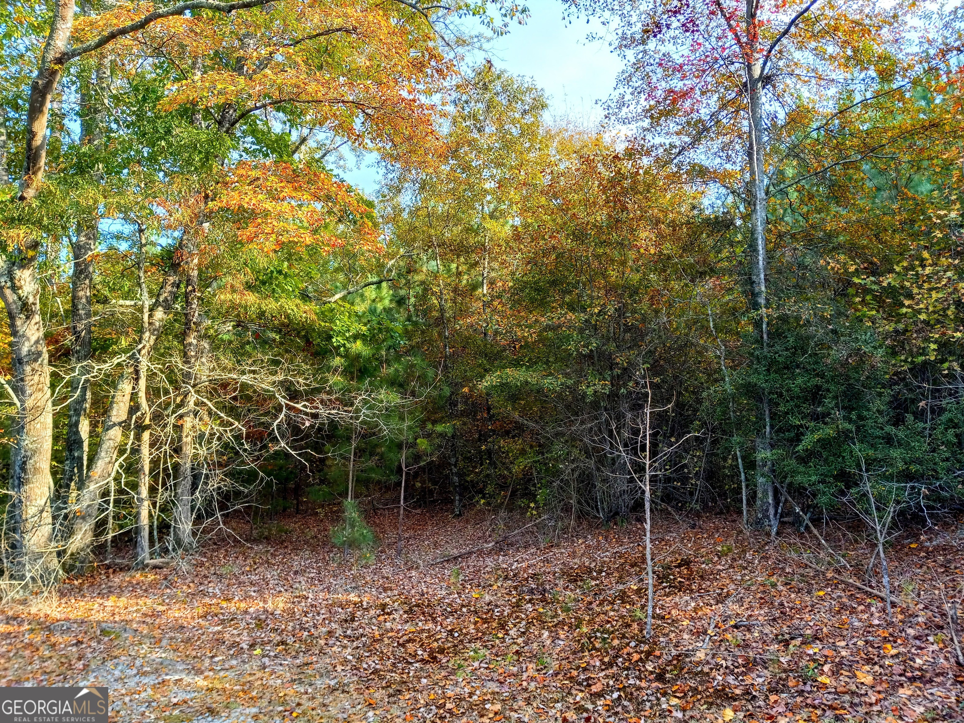 Property Photo: 0 Asbury Road GA 30179