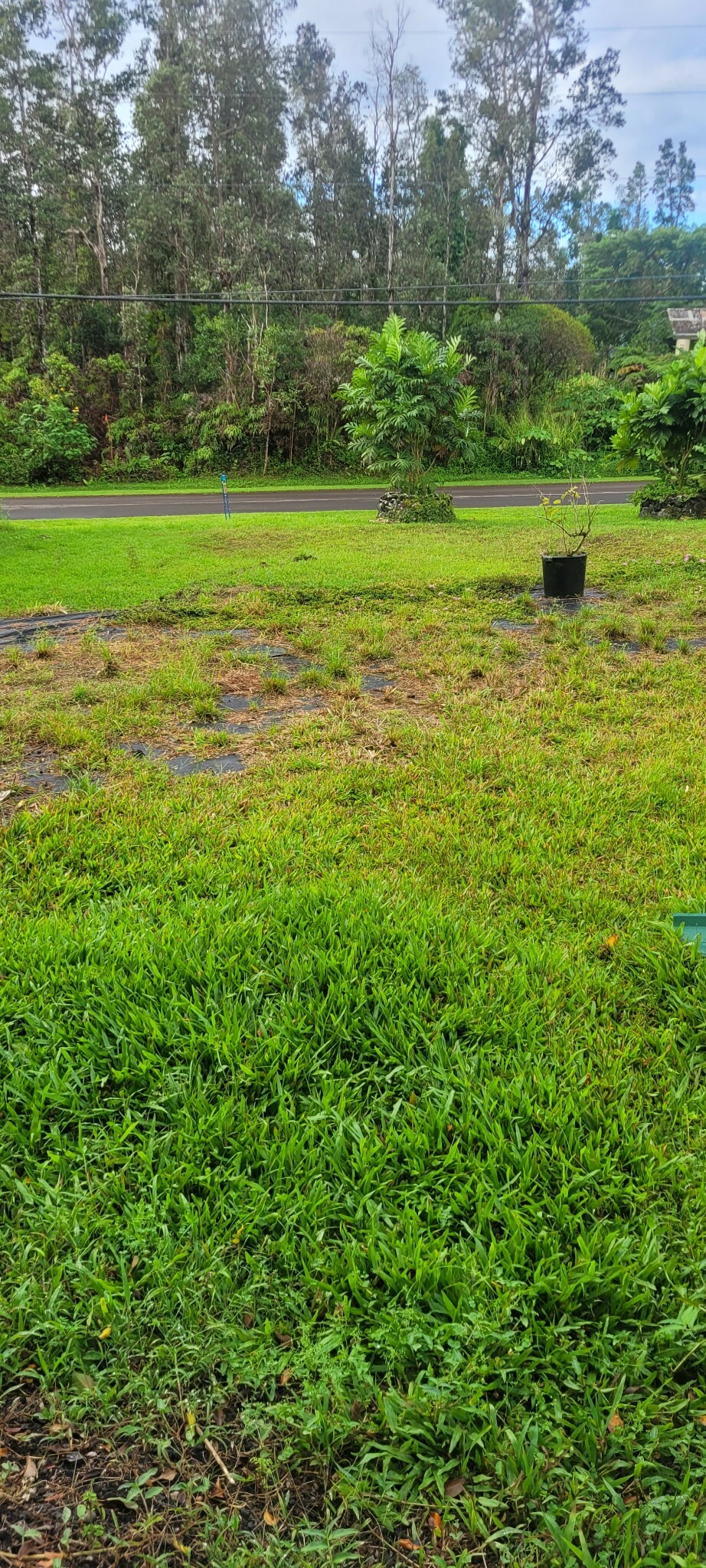 Property Photo: Diamond Head Rd HI 96778