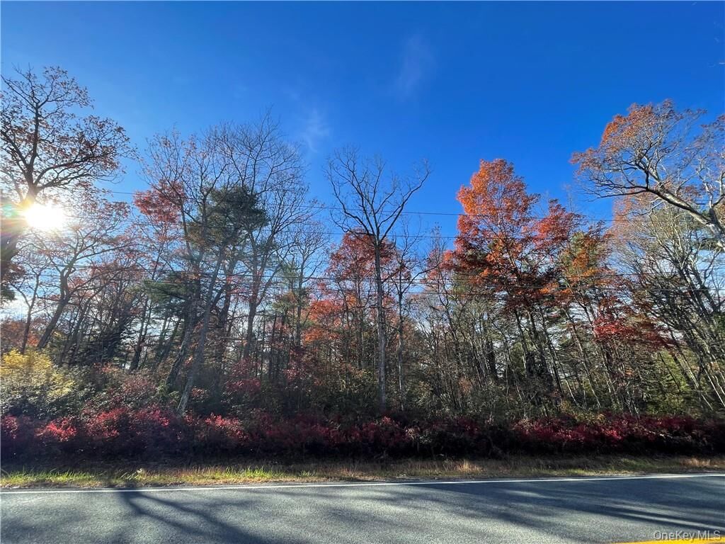 Property Photo: Lot 84 Forestburgh Road NY 12737
