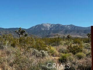 Property Photo:  4 X Largo Vista Road  CA 93544 