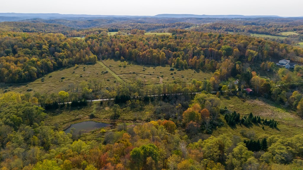 Property Photo:  0 Babcock Rd  PA 18845 