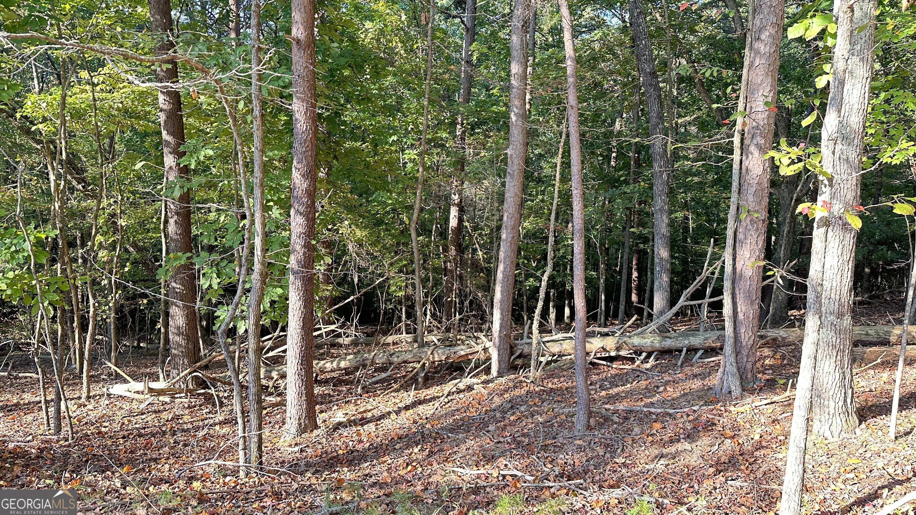 Property Photo:  181 Little Coyote Loop  GA 30183 