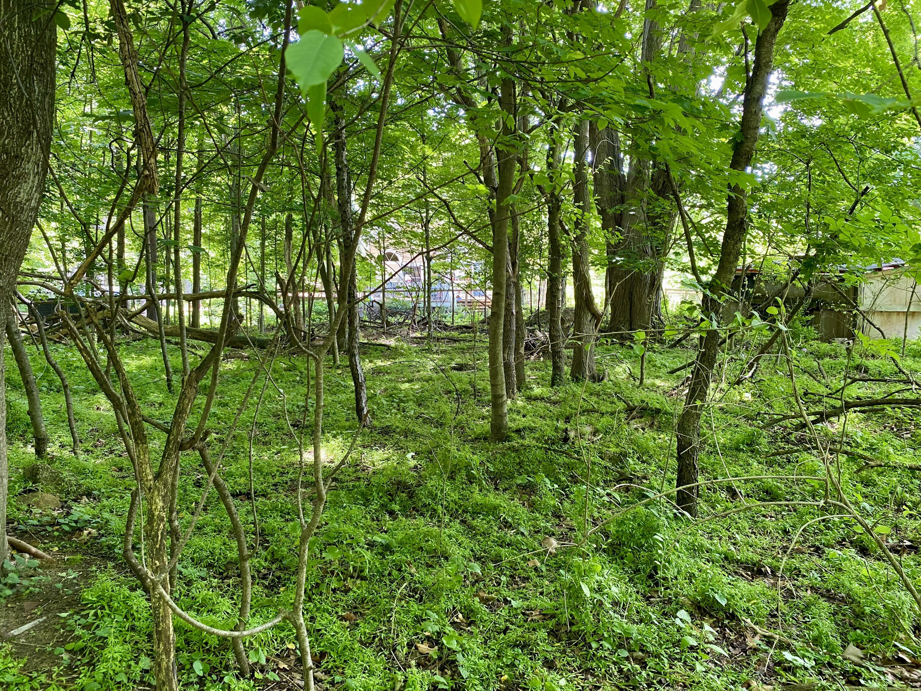 Property Photo:  78 Wiley Road  MI 49406 