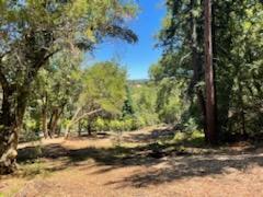 Property Photo:  12 Montecito Road  CA 94062 