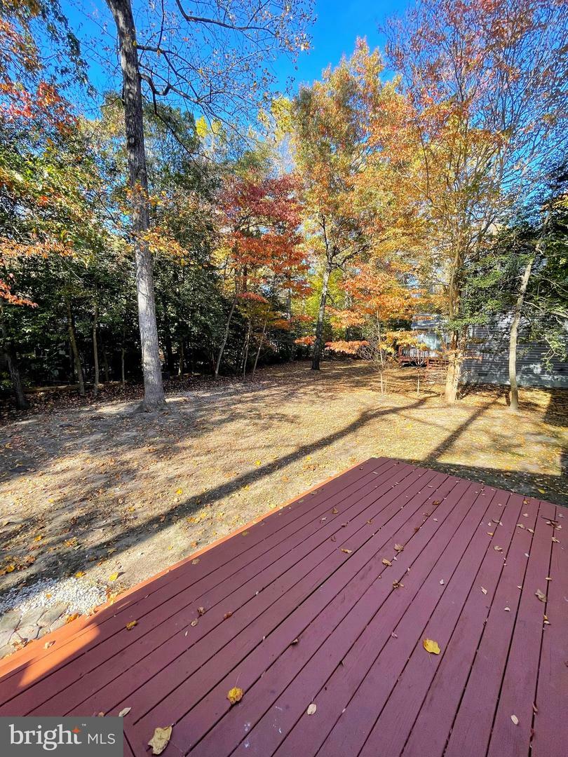 Property Photo:  23147 Grey Squirrel Lane  MD 20619 