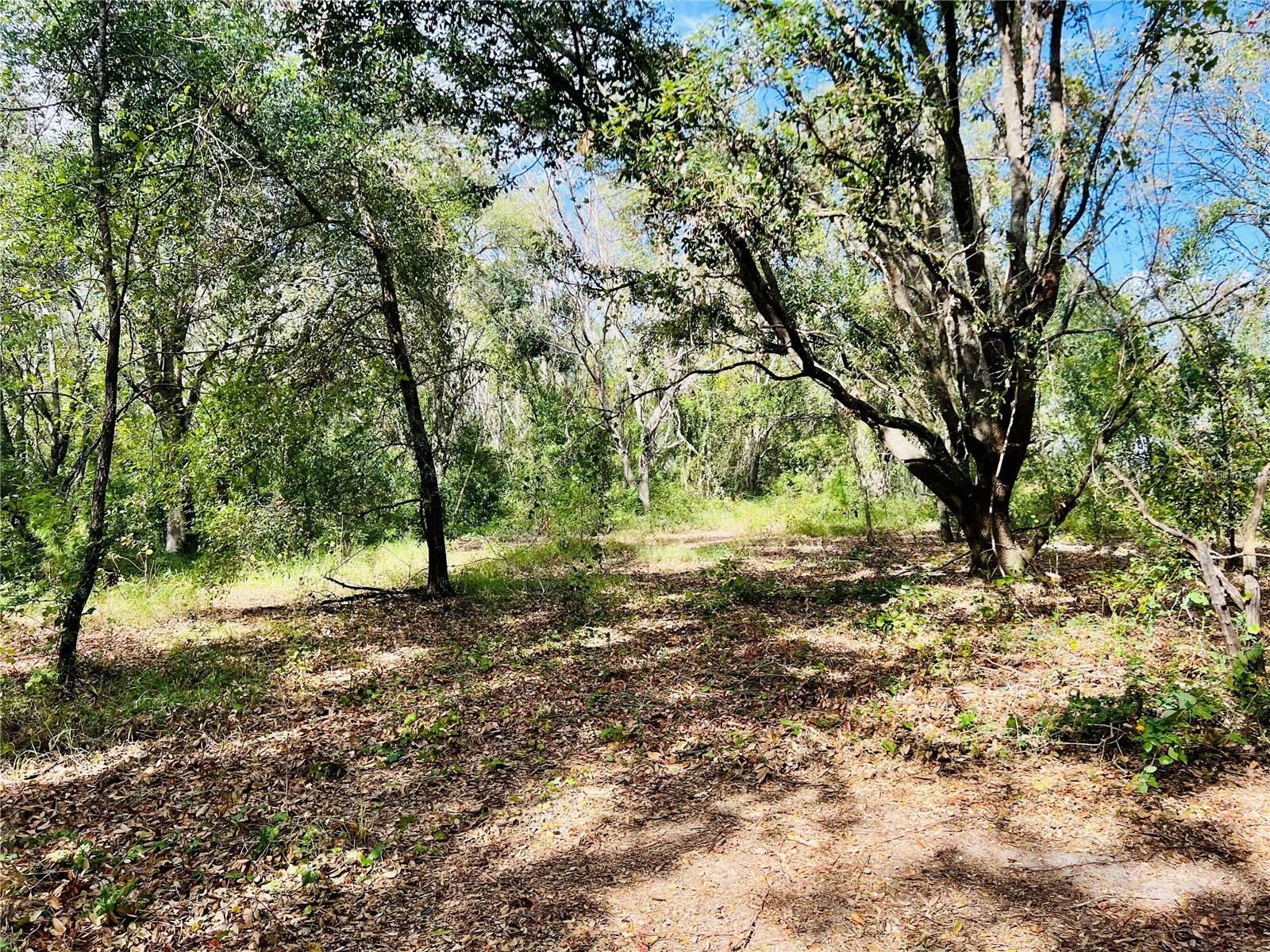 Property Photo:  Pine Island Road  FL 34711 