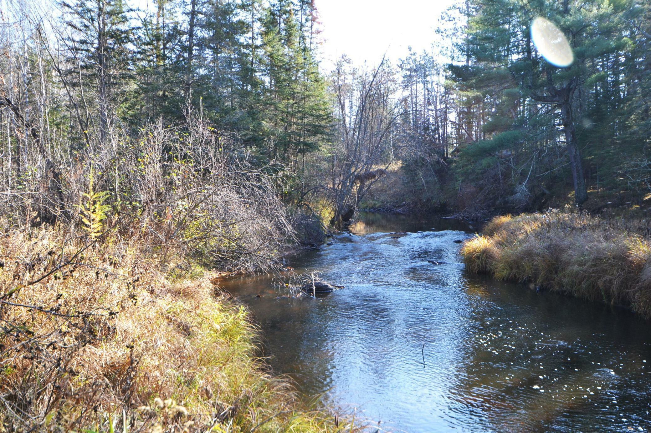 Property Photo:  24328 Rutledge Road  MN 55795 