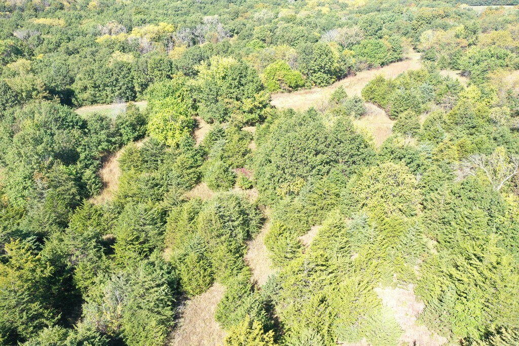 Property Photo:  11471 Highway Y  MO 63556 