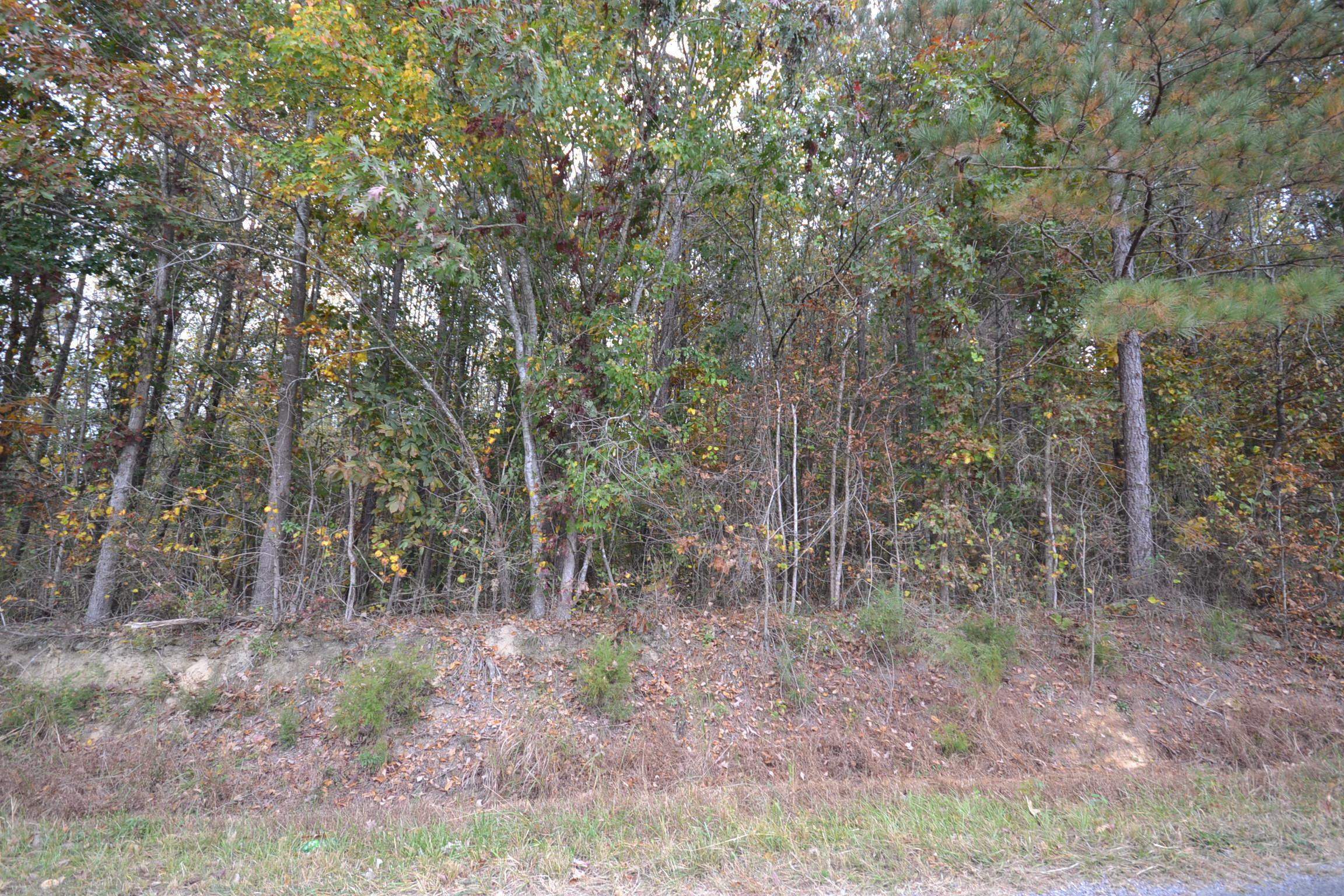 Property Photo:  4.7 Acres Co Rd 1453  AL 35179 - VINEMONT 