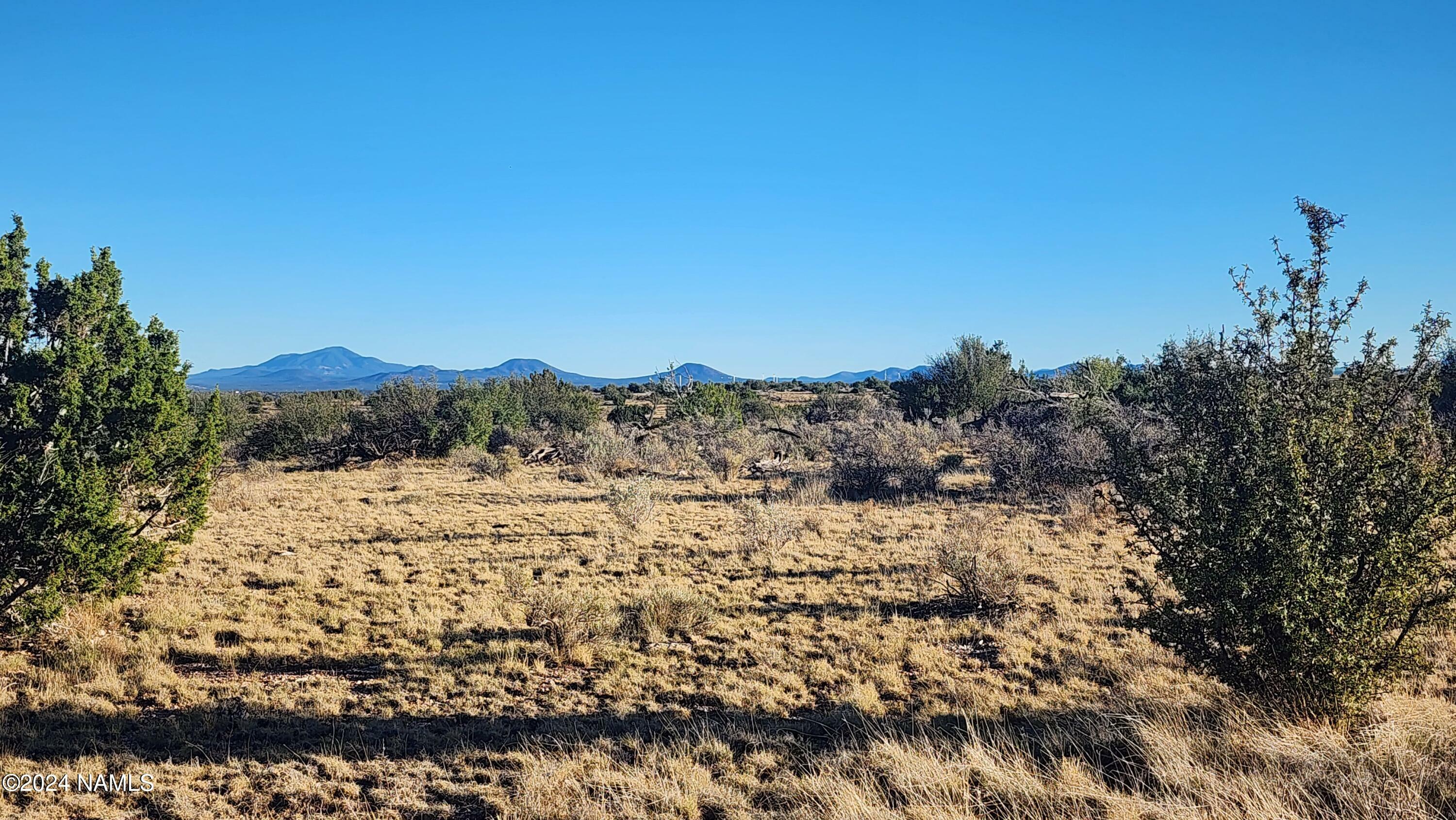 Property Photo:  10424 W Line Cook Trail  AZ 86046 