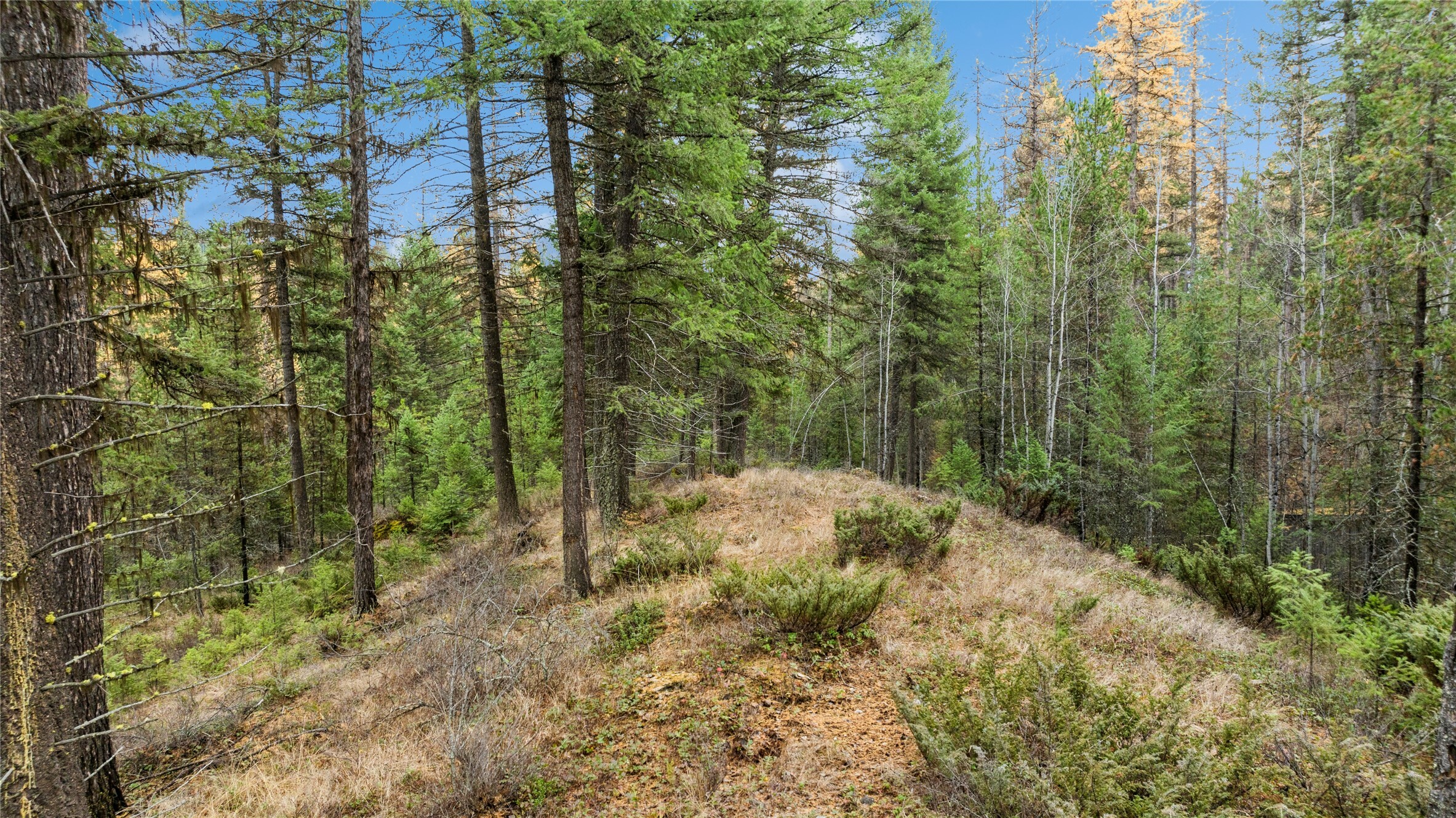 Property Photo:  Nhn Bootjack Lake Road  MT 59937 