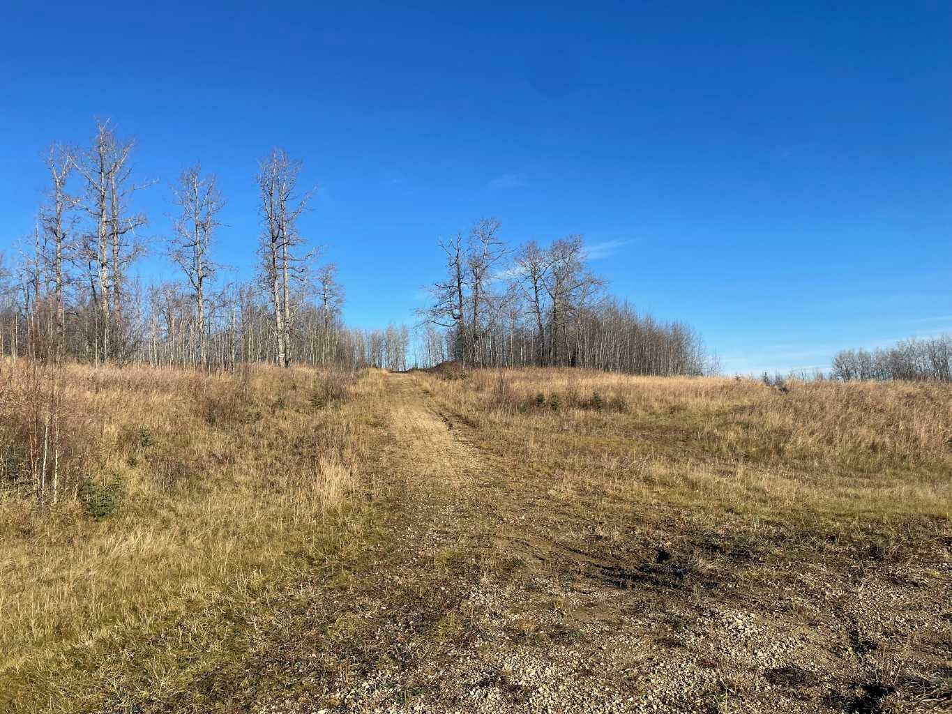 Property Photo:  Township Road 584 Township  AB T7S 1A1 