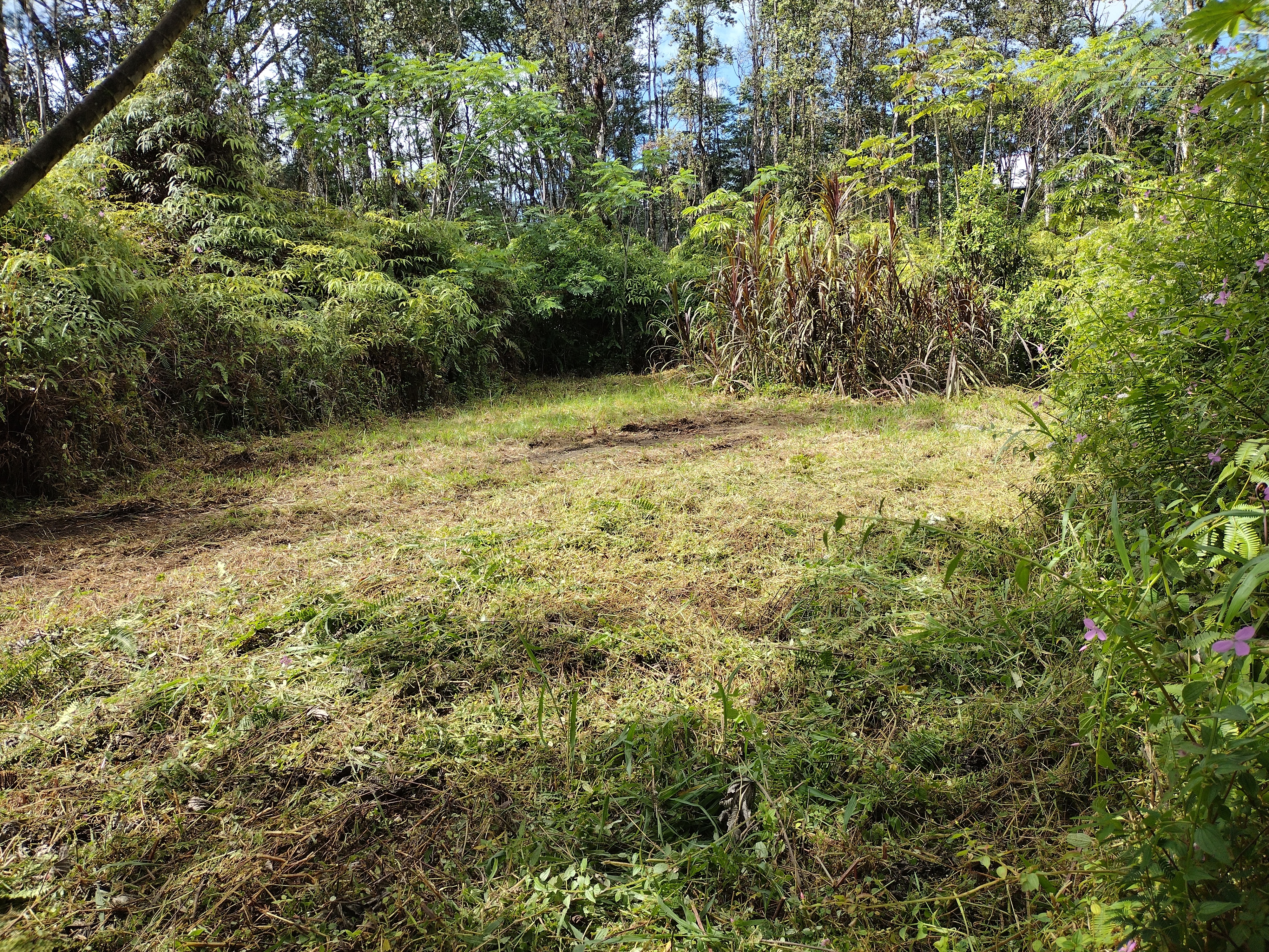 Property Photo:  Lanai Rd  HI 96778 