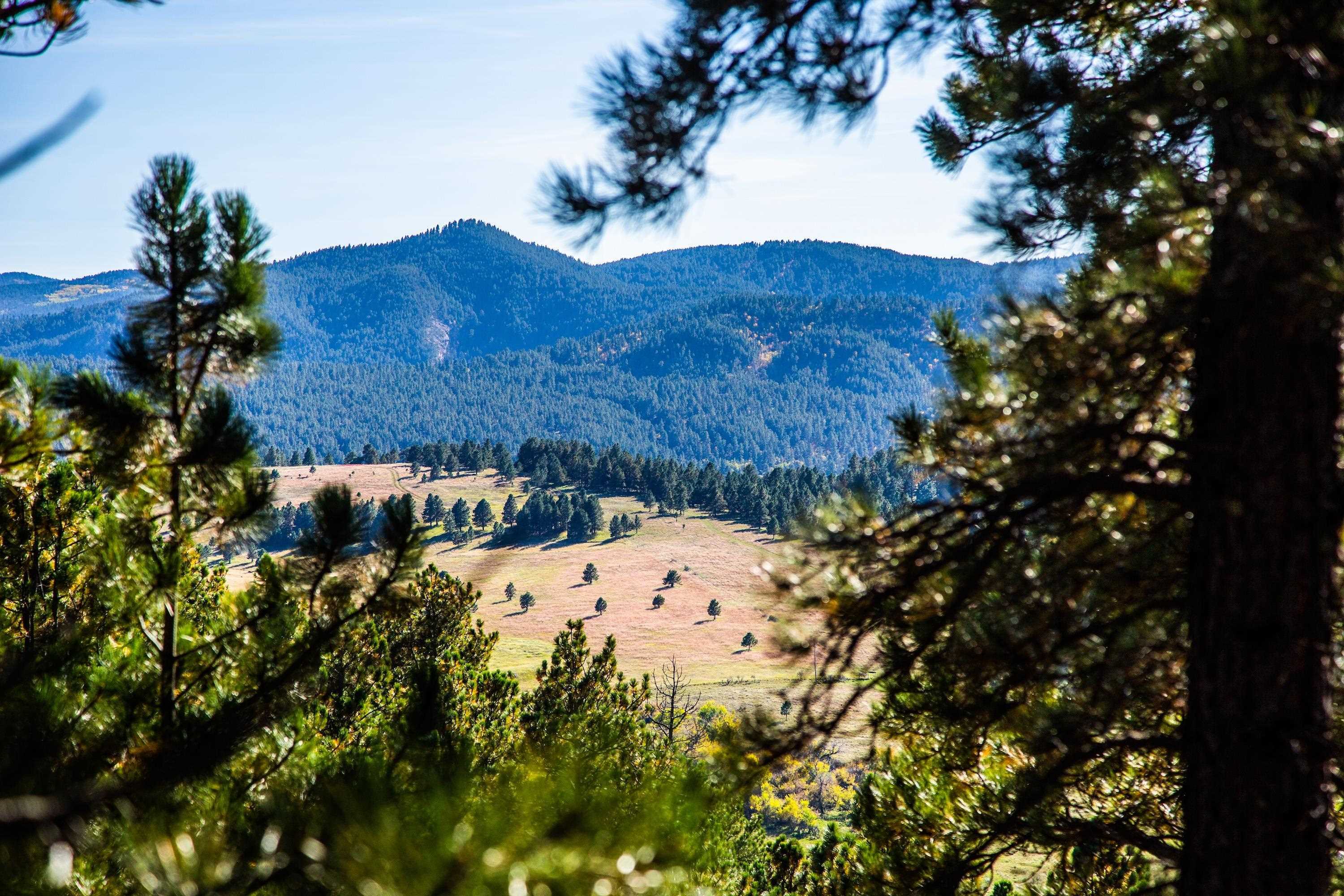 Lot 20 Three Peaks Pass  Whitewood SD 57793 photo