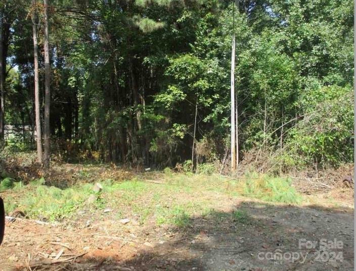 115 Woodberry Drive  Cherryville NC 28021 photo