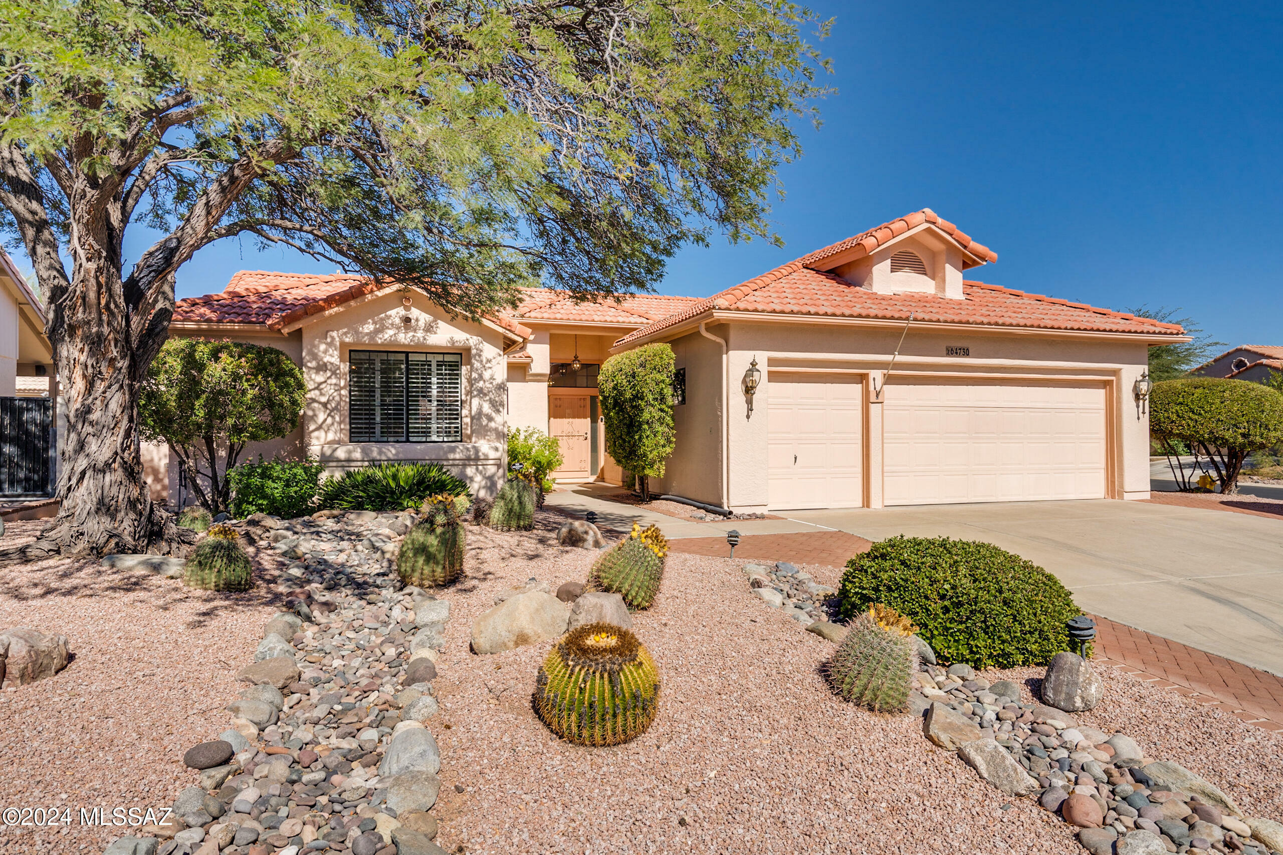 64730 E Canyon Shadows Lane  Tucson AZ 85739 photo