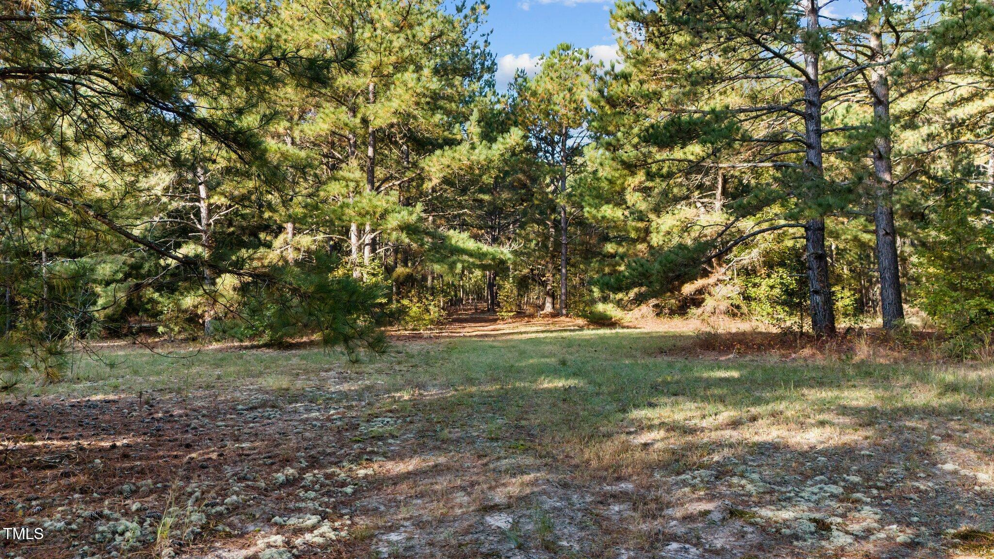 Property Photo:  0 Campbell Drive  NC 27281 