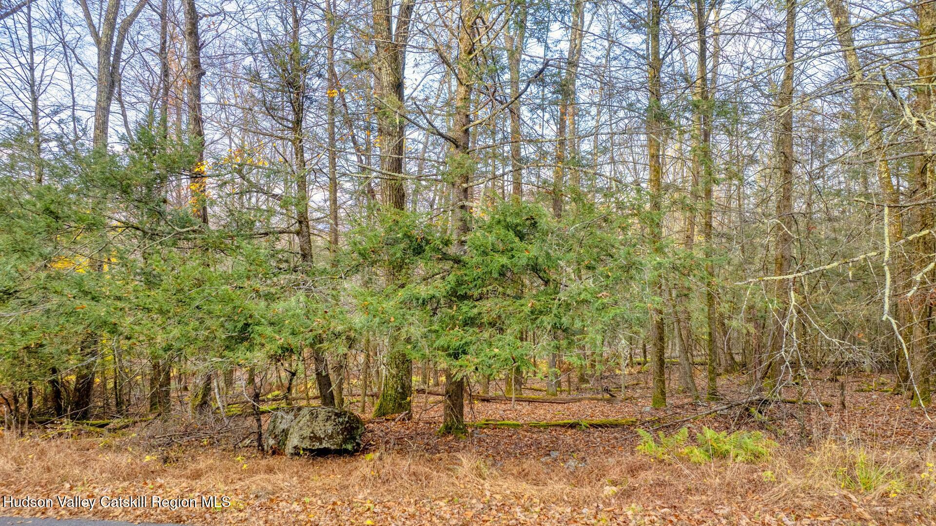 Property Photo:  Tbd Cherry Hill Lot #2  NY 12484 