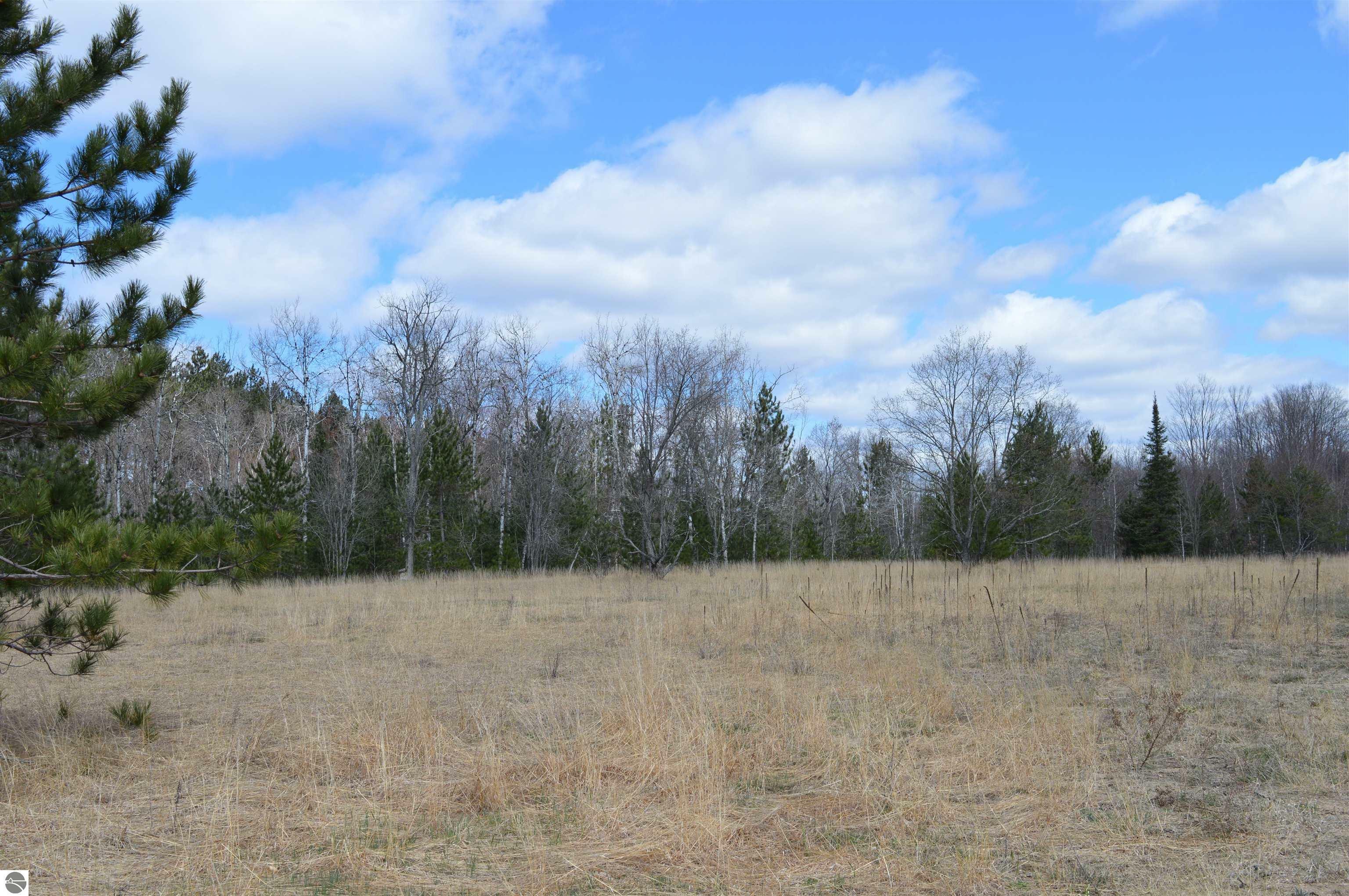 Property Photo:  Off Wood Road, NE  MI 49646 