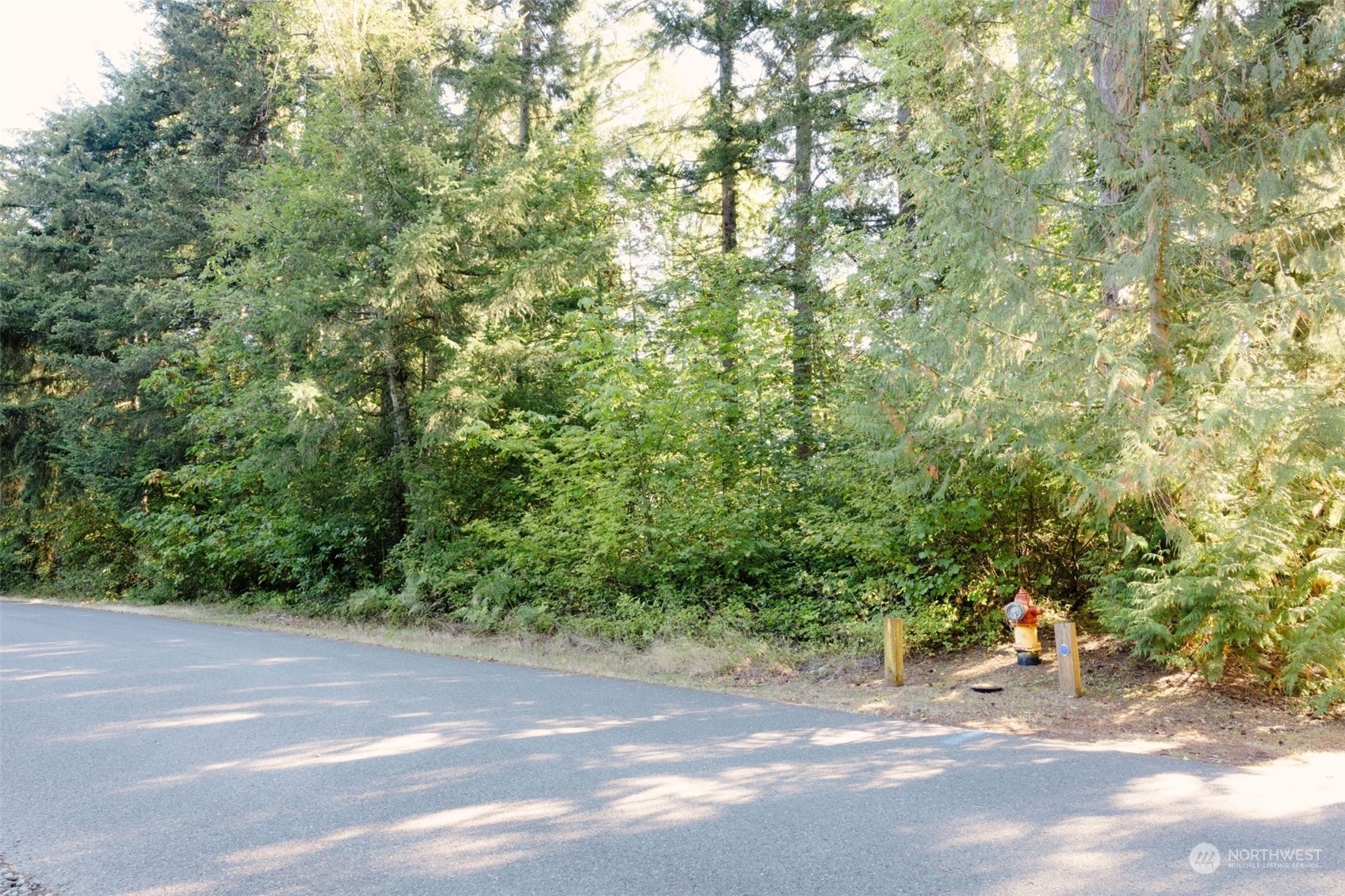 Property Photo:  17708  Vine Lane SE  WA 98597 