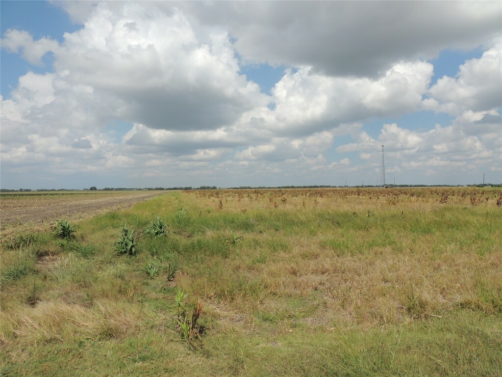 Property Photo:  3402 County Road 405  TX 76574 