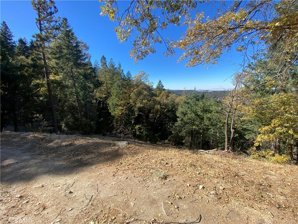 Property Photo: 24989 Highland Drive CA 92325