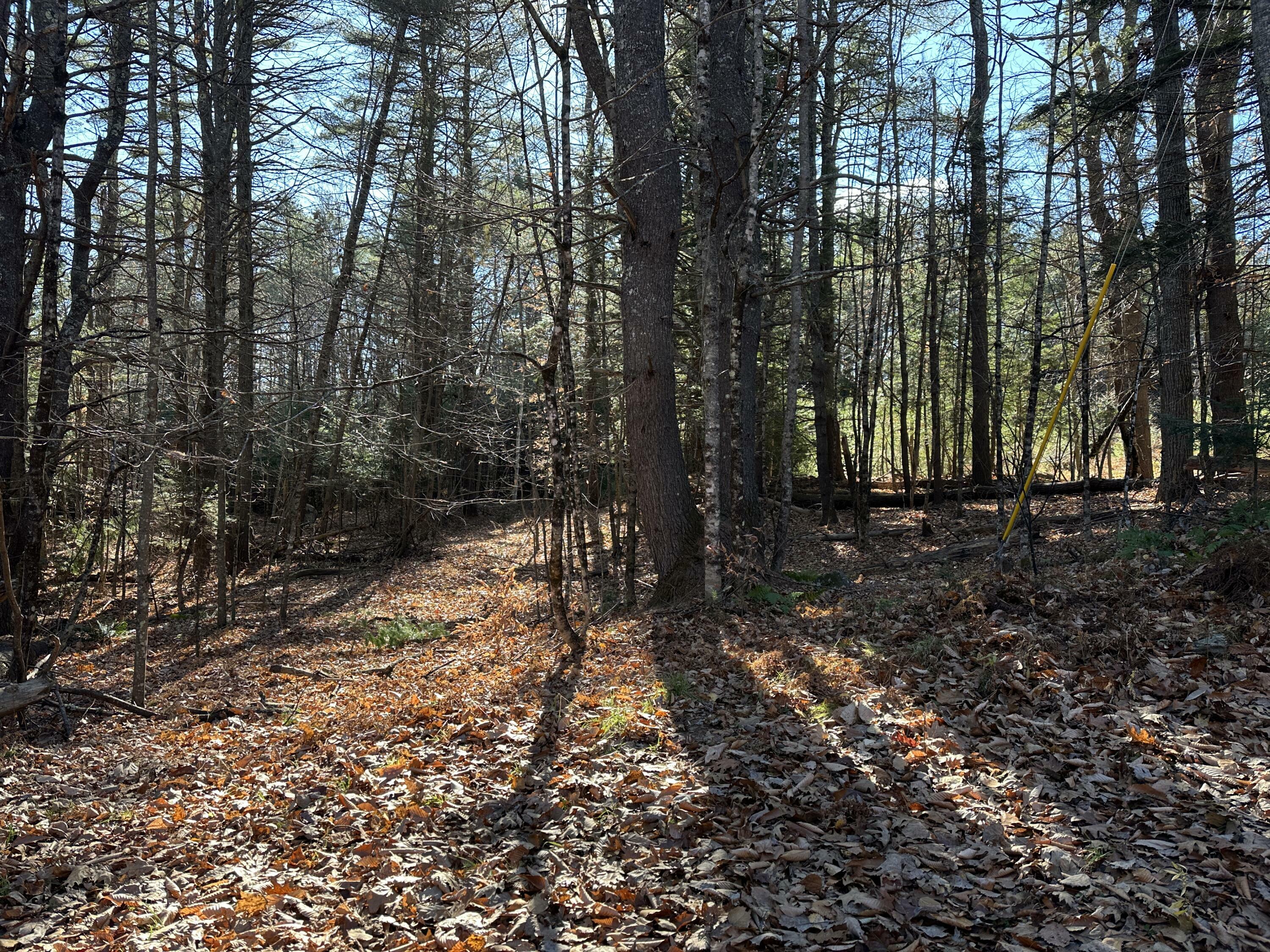 Property Photo:  Lot 7 Five Seasons Road  ME 04352 