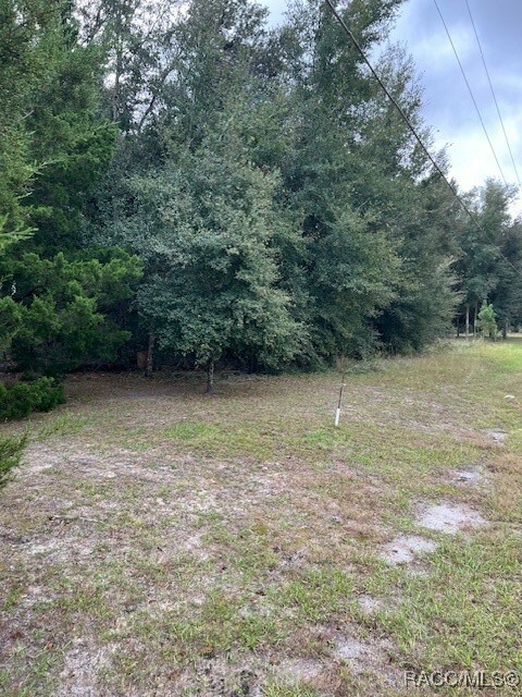 Property Photo:  00 SW 131st Terrace  FL 34432 