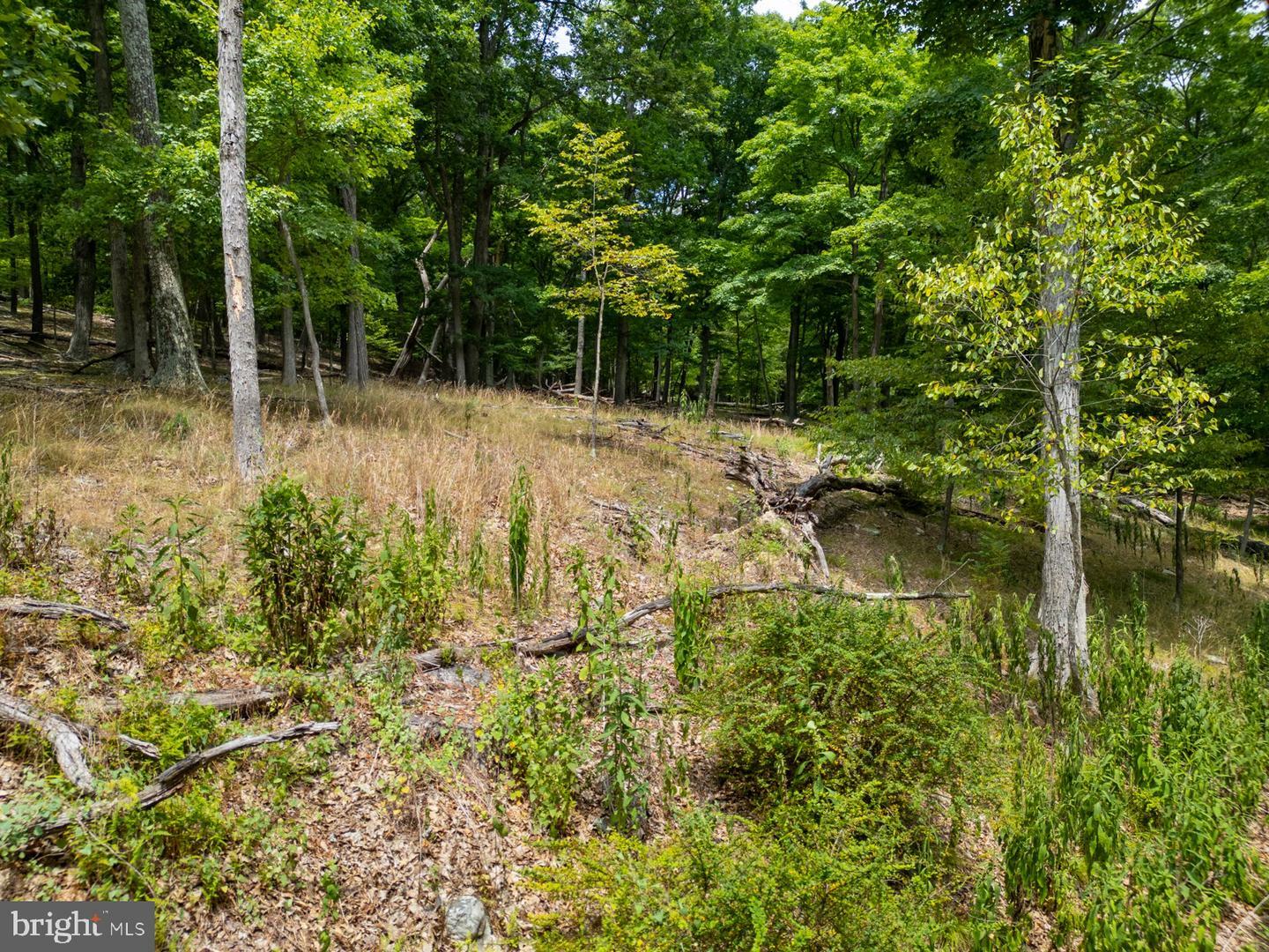 Property Photo:  Lot 55 &Amp 56 Sarah Lincoln Dr.  WV 26743 