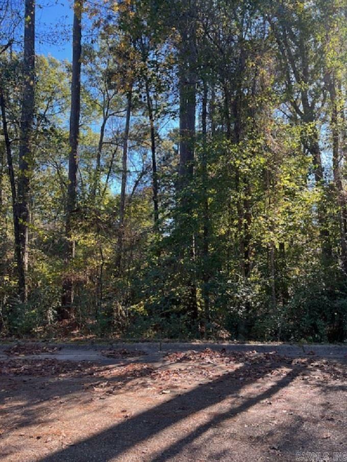 Property Photo: Lot 15 Mockingbird Lane AR 71701