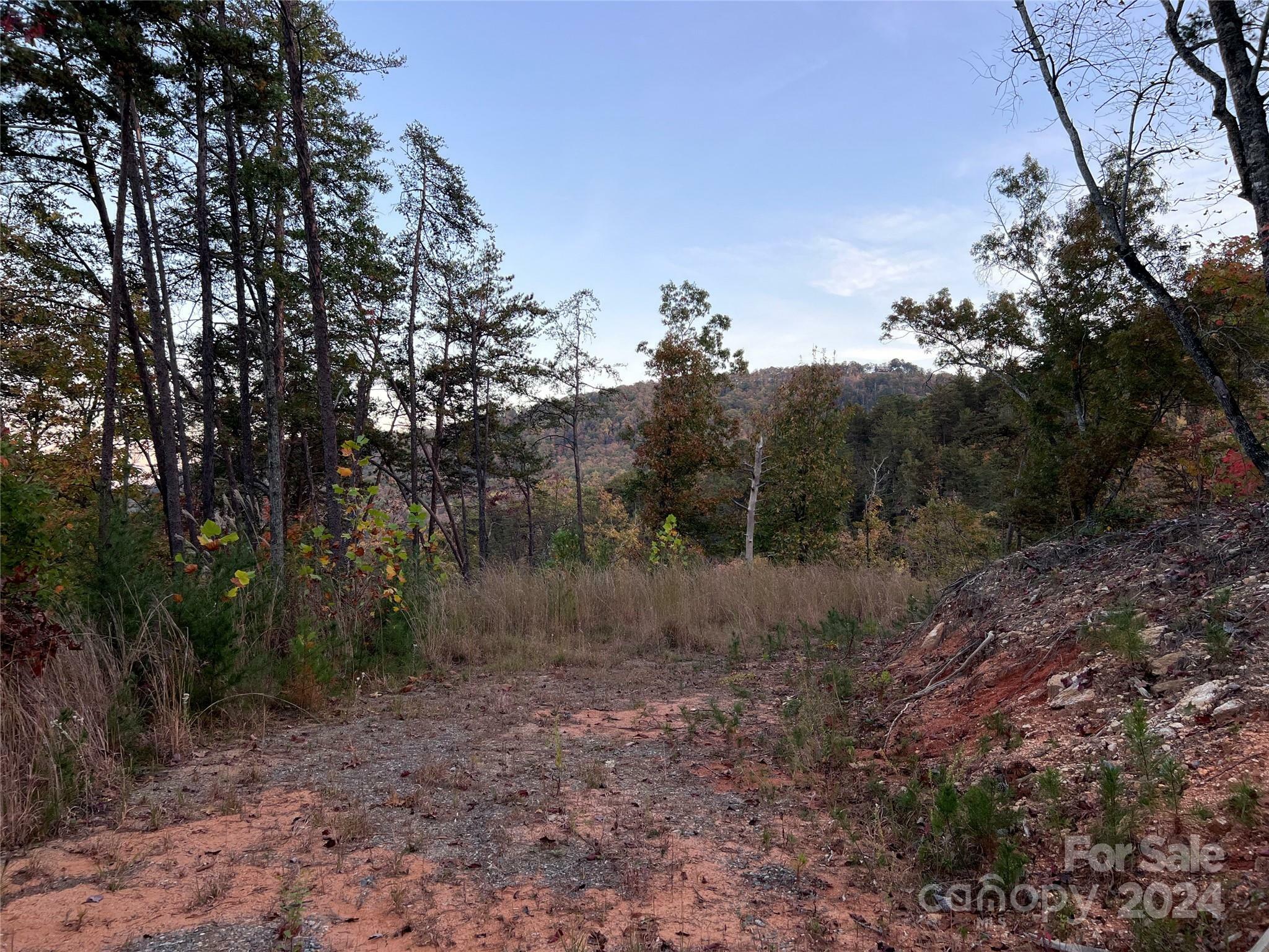 Property Photo:  V/L Laurel Branch Drive 21  NC 28746 