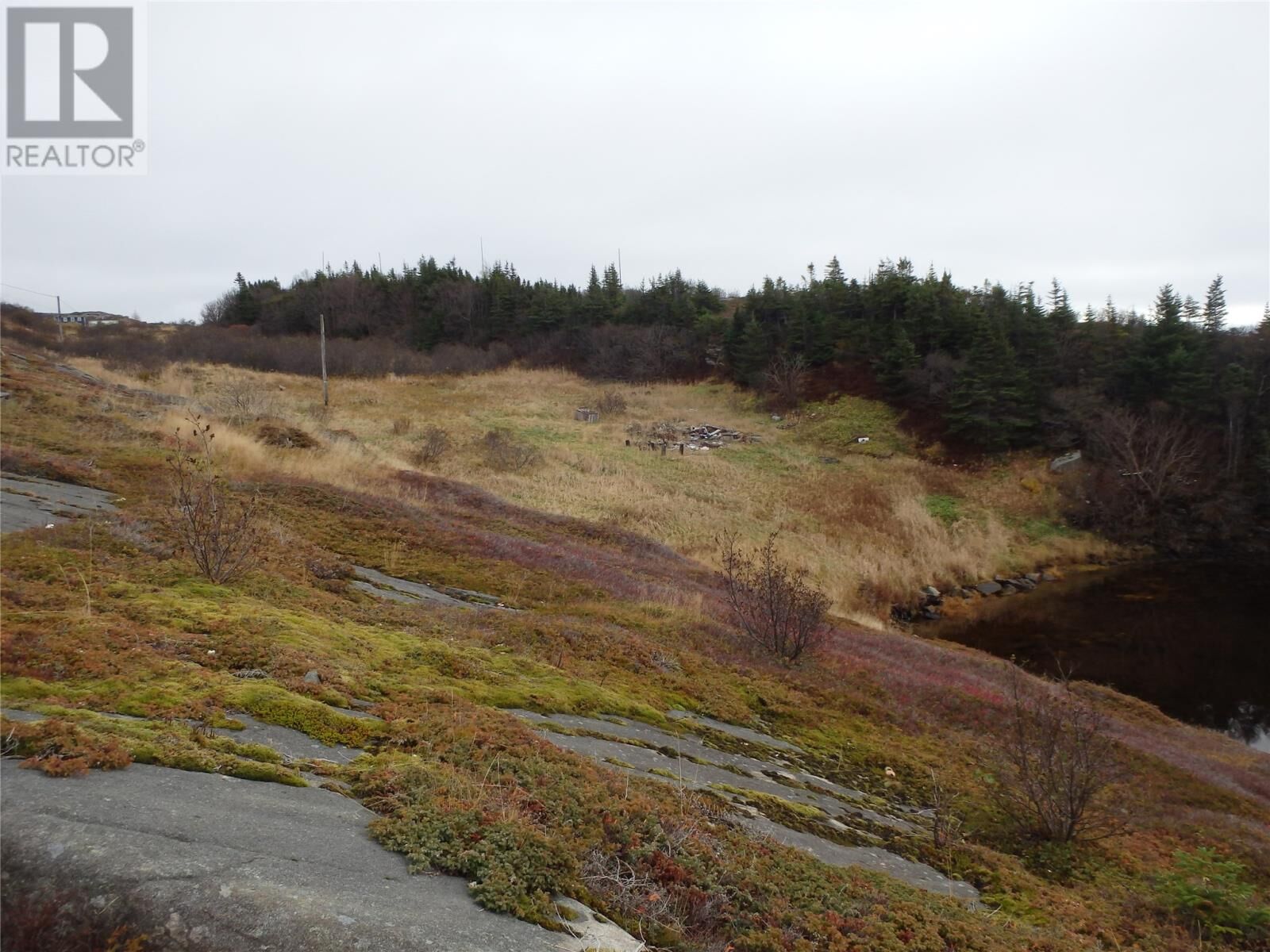 Property Photo:  0 Miller'S Road  NL A0C 2H0 