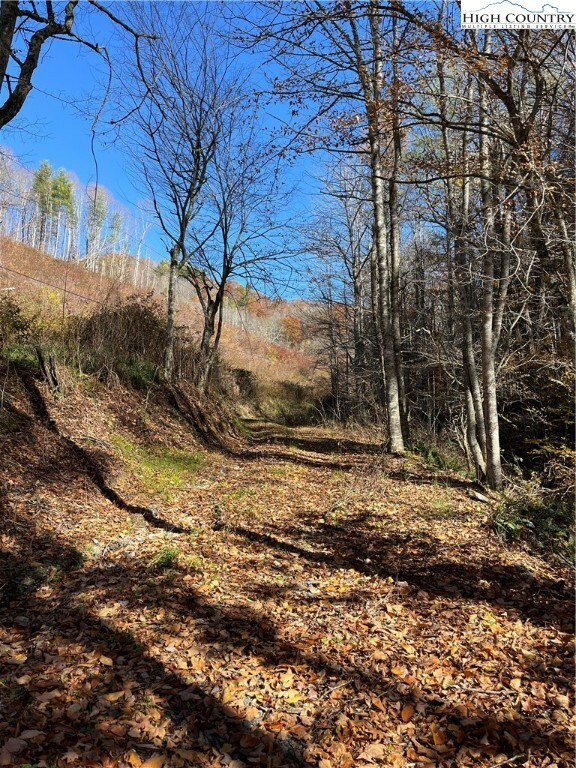 Property Photo:  1972 S Big Horse Creek Road  NC 28643 