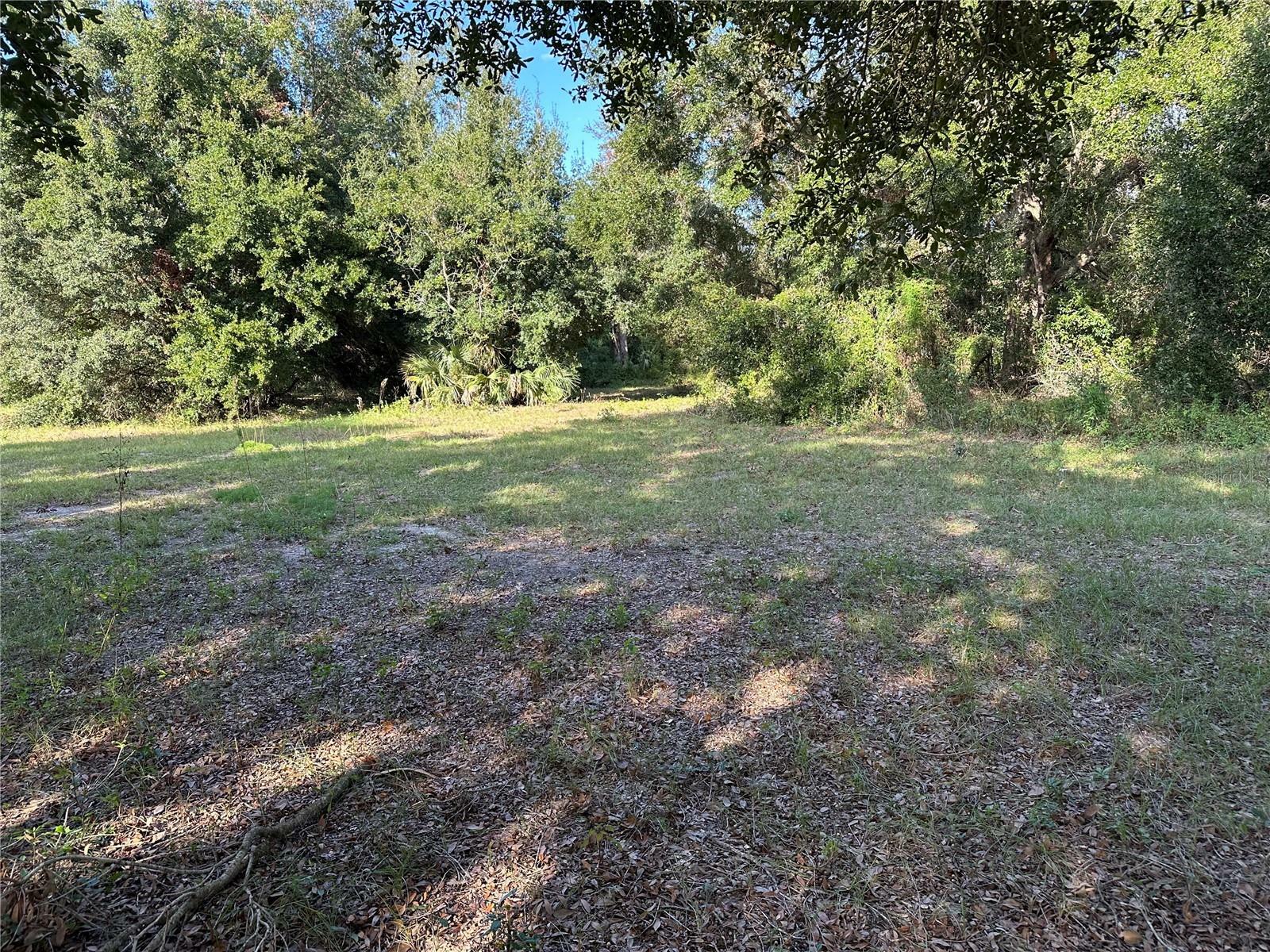 Property Photo:  Griffin Avenue  FL 32159 