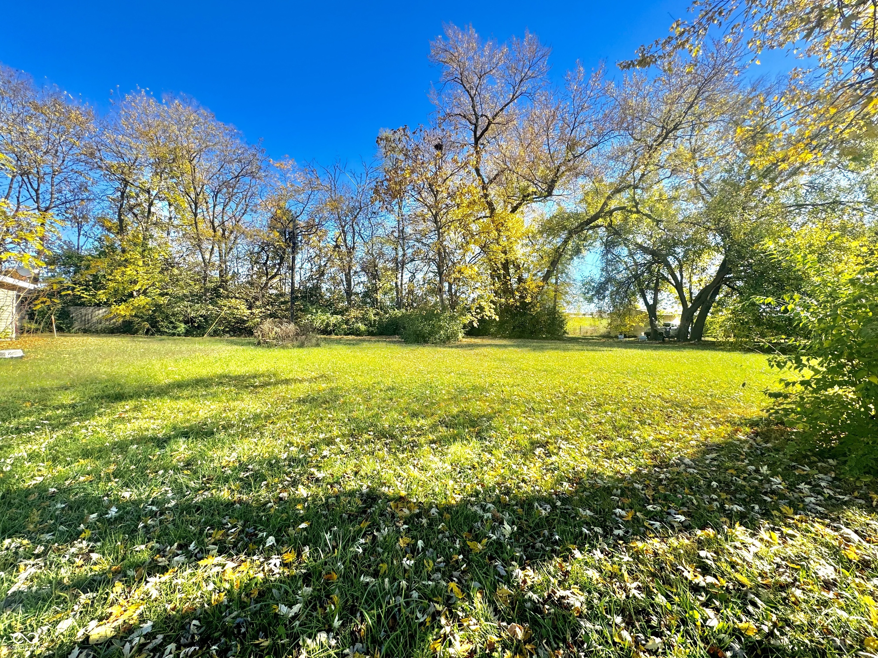 Property Photo:  1733 Olive Street  IN 46203 