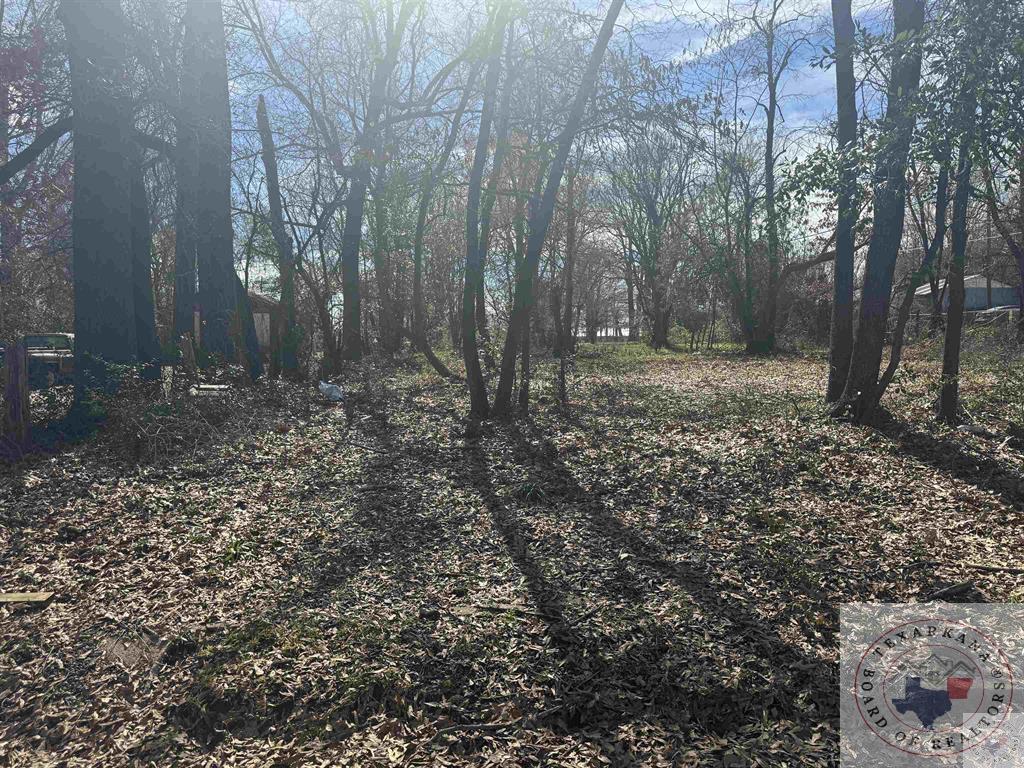 Property Photo: 1121 Nolthenius TX 75501