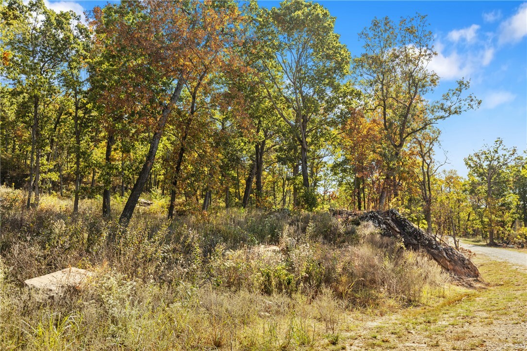 Property Photo:  Lot 52 Restore Ridge  AR 72601 