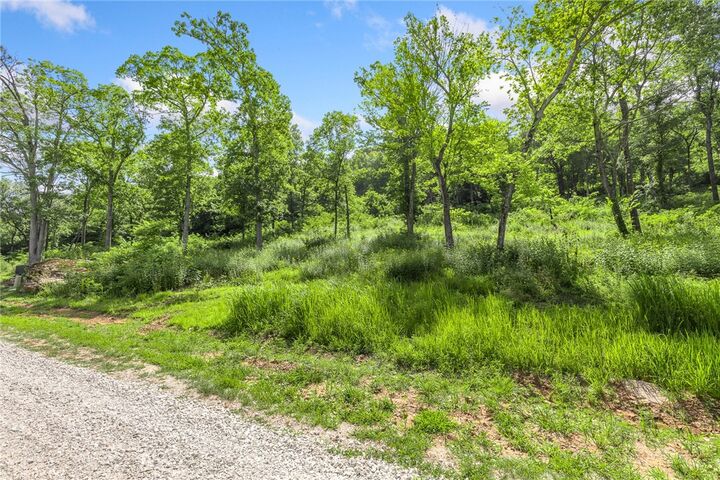 Property Photo: Lot 52 Restore Ridge AR 72601