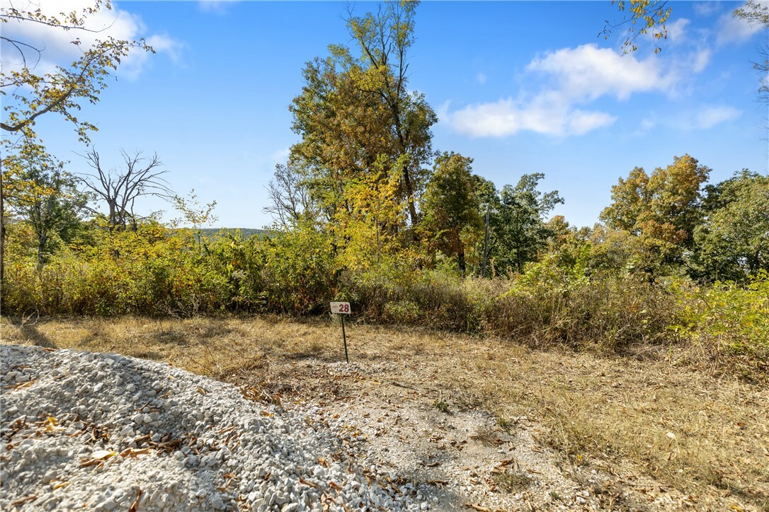 Property Photo:  Lot 28 Peaceful Place  AR 72601 