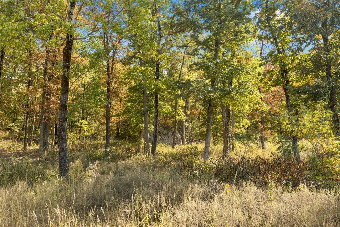 Property Photo:  Lot 44 Restore Ridge  AR 72601 