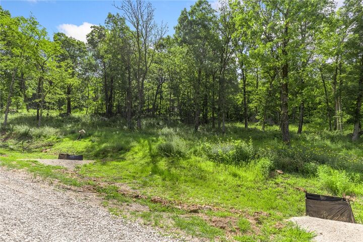 Property Photo: Lot 44 Restore Ridge AR 72601
