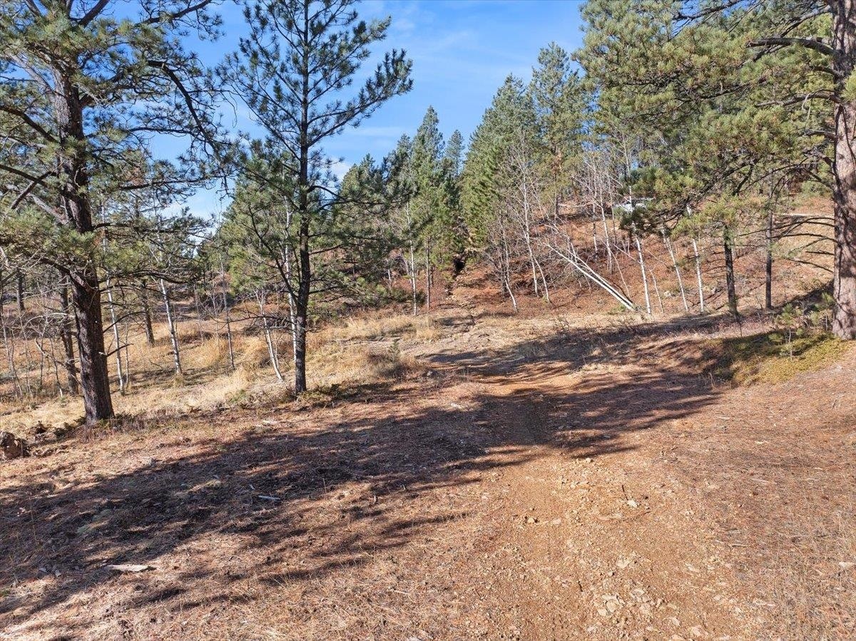 Property Photo:  Lot 1 Last Chance Trail  SD 57754 