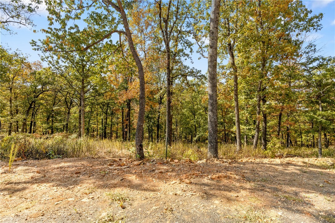 Property Photo:  Lot 69 Restore Ridge  AR 72601 