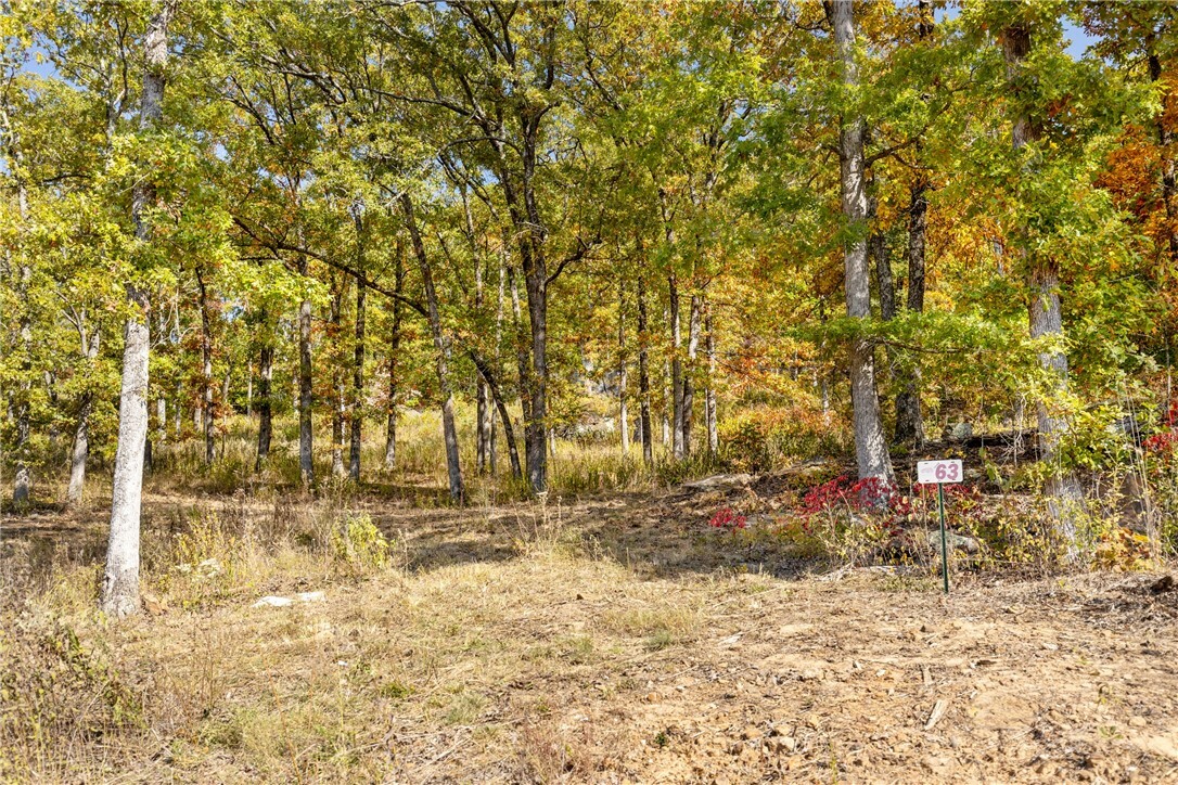 Property Photo:  Lot 63 Restore Ridge  AR 72601 