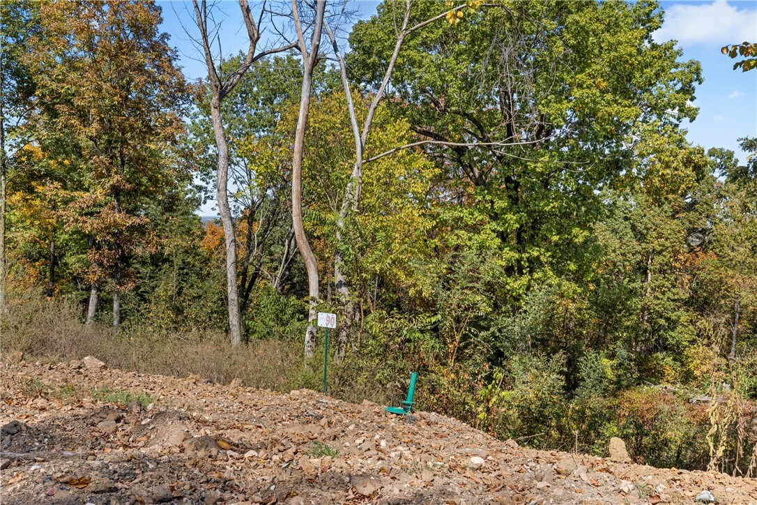 Property Photo:  Lot 90 Restore Circle  AR 72601 