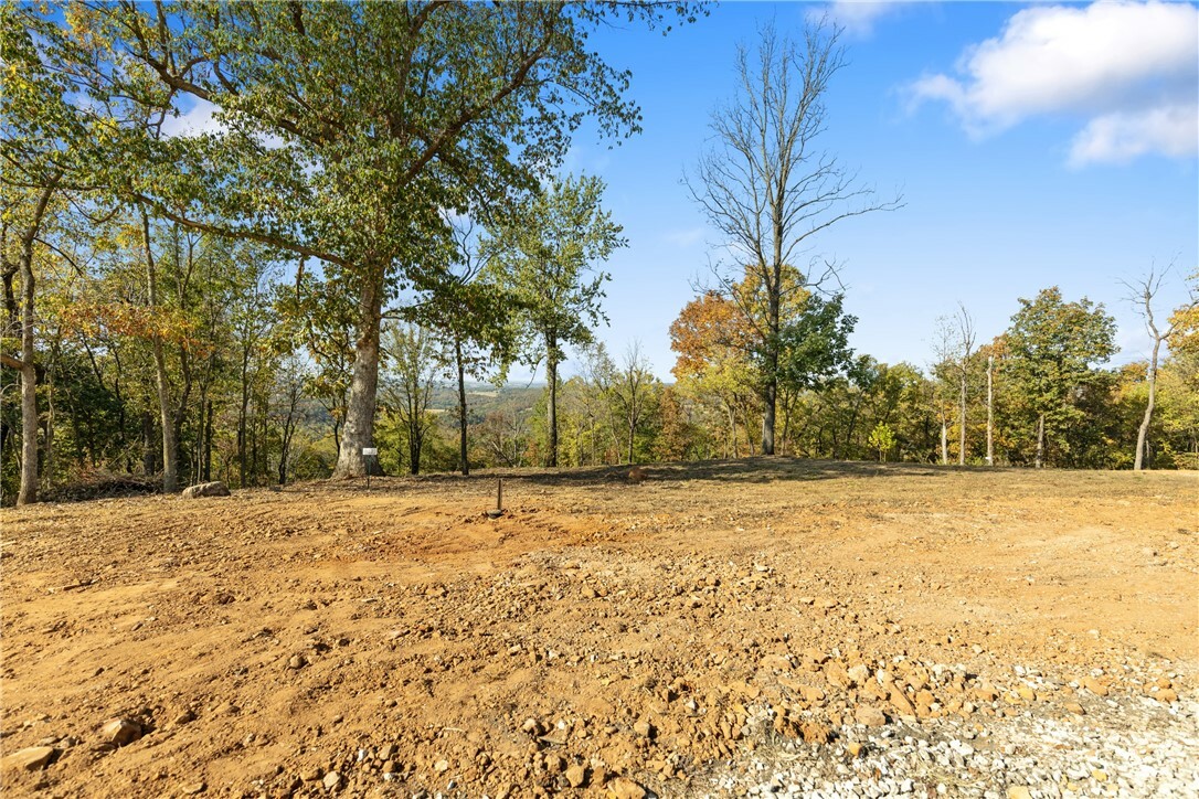 Property Photo:  Lot 103 Peaceful Place  AR 72601 